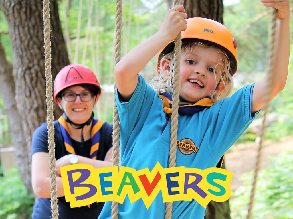 Beavers swing logo